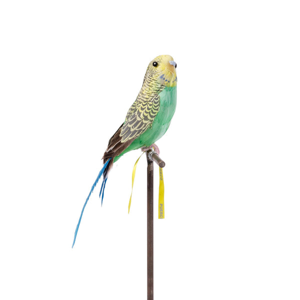 Artificial Bird - Green Budgie