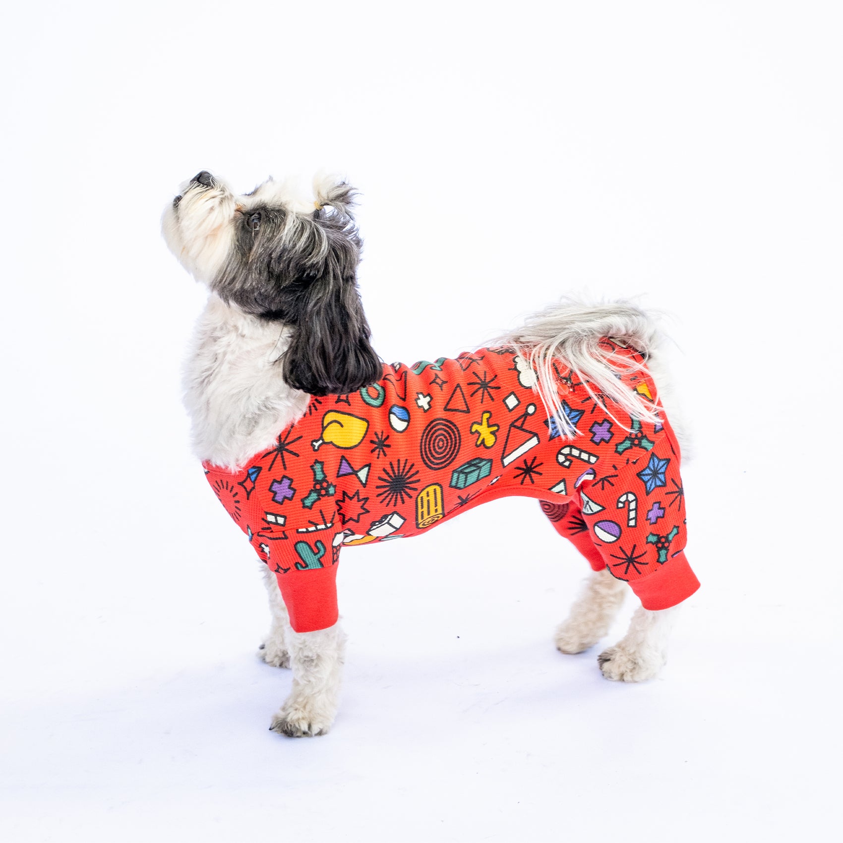 Holiday Party Dog – Drake General Store