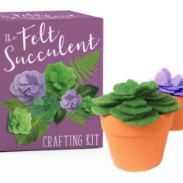 Drake General Store - The Felt Succulent Crafting Kit